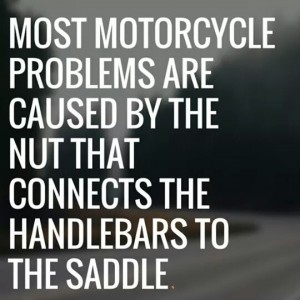 saddle